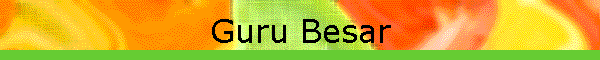 Guru Besar